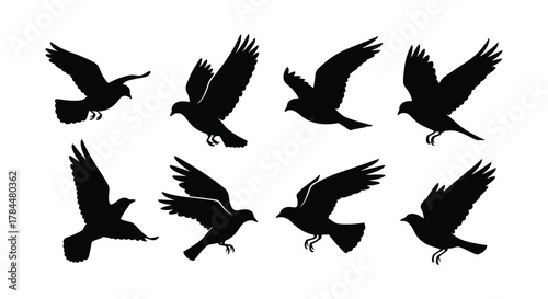 Silhouettes of flying crows in various wing positions and angles