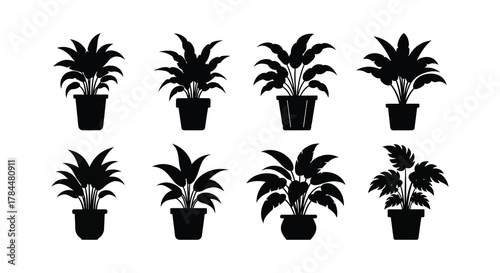 Collection of potted tropical plants in dark silhouette style