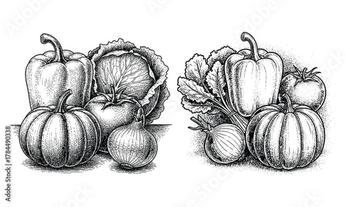 Vintage engraving of fresh vegetables: pumpkin, bell pepper, cabbage, onion, tomato