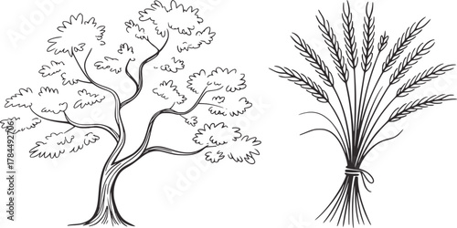 Tree and wheat sheaf plant nature