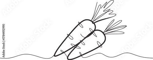 Two carrots drawn with simple lines vegetables food
