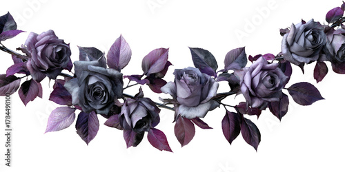 A curved garland of purple and gray roses with leaves arranged against a black background