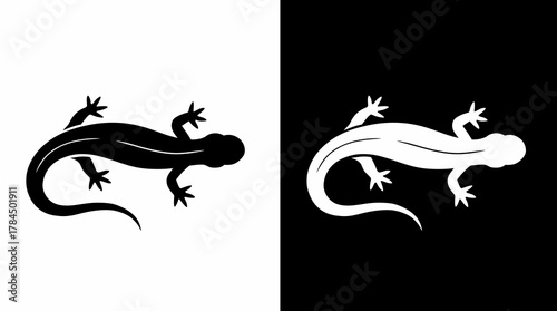 Salamander Silhouette Vector Illustration Reptile Amphibian Graphic