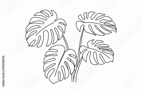 Monstera deliciosa tropical plant minimalist line art drawing.