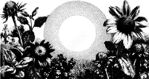 Engravings of flowers in vintage style. Black and white botanical illustration set, featuring an empty circular space for vector design.