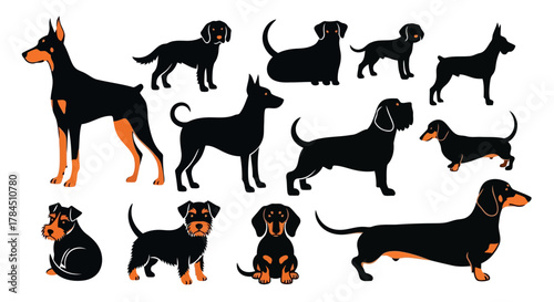 Vector art of collection of dog breed silhouettes, including doberman, dachshund, terrier, and more, showcasing various poses and characteristics