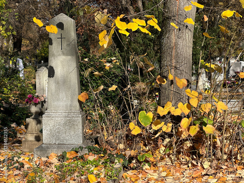 Old tombstone in the public cemetery