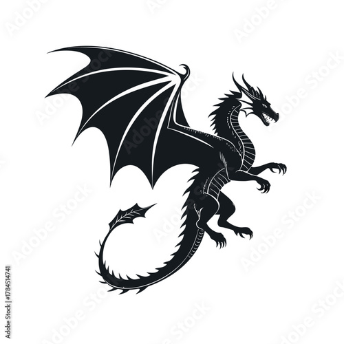 The Dragon Ascending 