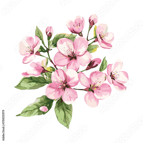 Pink cherry blossom watercolor art illustration for spring decor