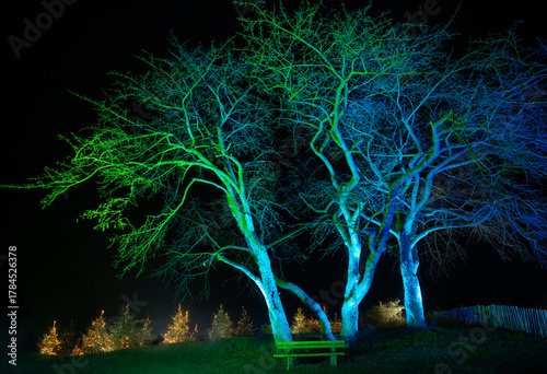 Bunt bestrahlte dürre Bäume und Weihnachtsbäume im Hintergrund