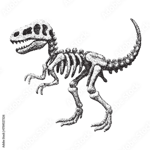 Black grunge dinosaur skeleton illustration on pure white background, ideal for prehistoric art, fossil themes, museum designs, educational projects, and creative wildlife graphics