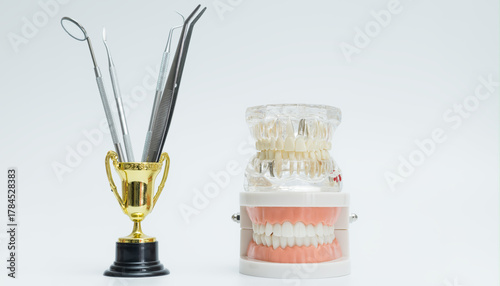 Dental Trophy with Tools and Jaw Models Display