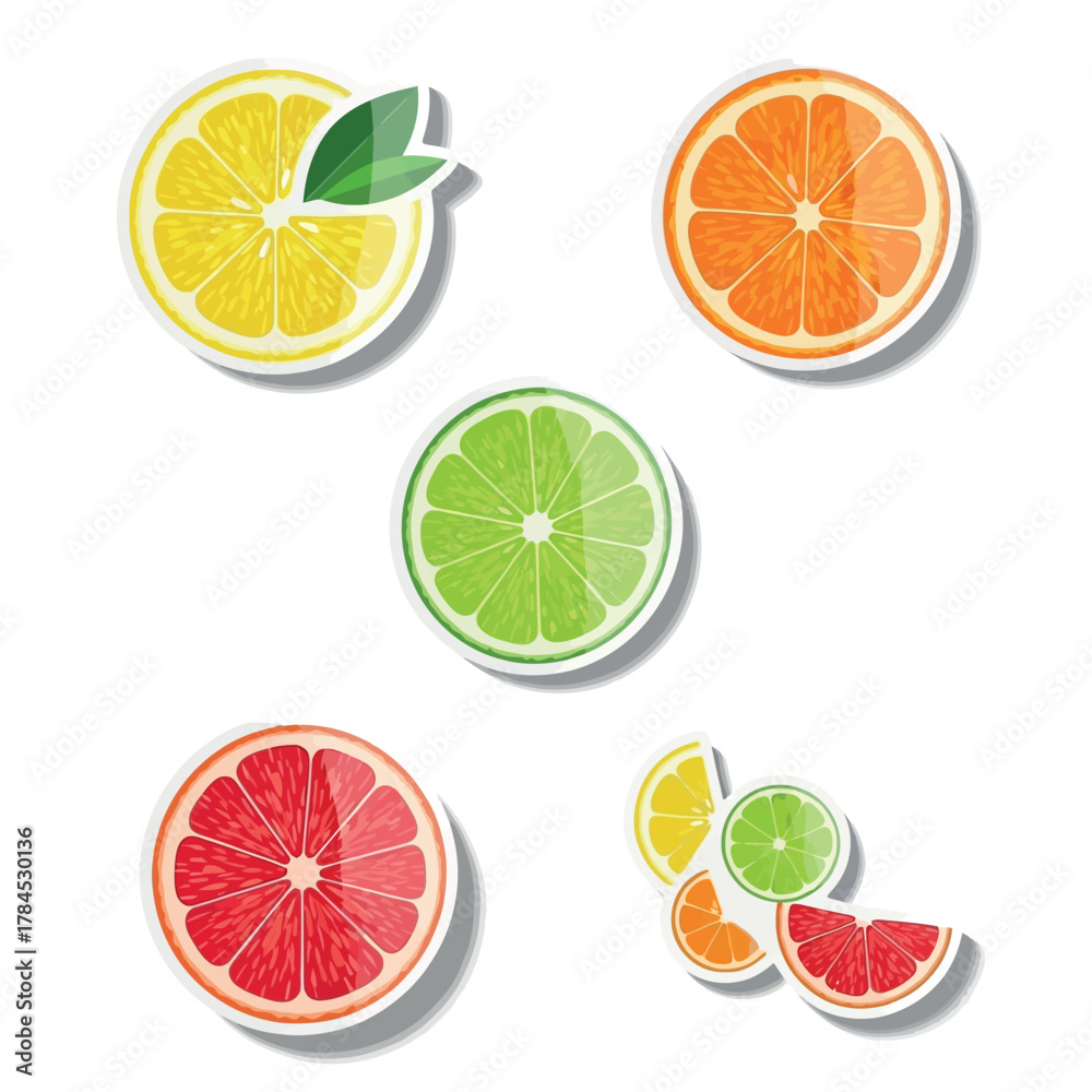 Obraz premium Citrus Variety Stickers Lemon, Lime, Orange & Grapefruit Illustrations