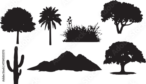 Set of tree silhouettes vector illustration with leaves branches and forest elements in black design