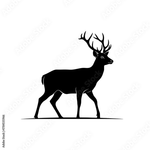 silhouette of deer