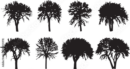 Black vector silhouette set of diverse tropical and forest trees with leaves, branches, and palms