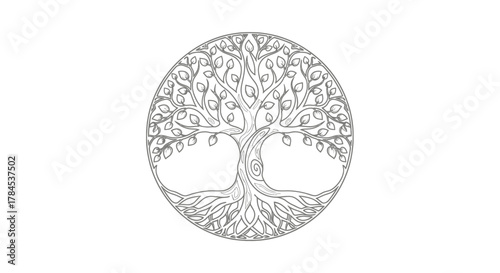 A detailed monochrome line art illustration of a tree within a circle