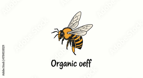 A stylized illustration of a bee with a striped abdomen, text "Organic oeff" below on white