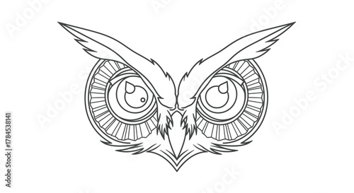 Detailed black and white linear illustration of an owl's head, facing forward