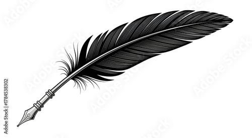 A detailed ink drawing of a quill pen with a large feather, set against a white background