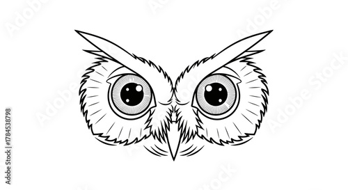 Black and white illustration of an owl's face, showing large eyes and distinctive features