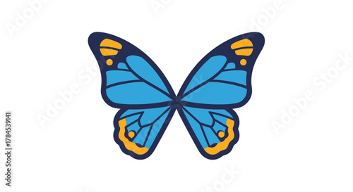 A symmetrical butterfly illustration with blue wings, yellow accents, and dark outlines on white