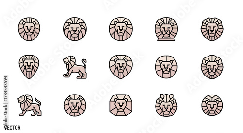 A series of stylized lion illustrations in various poses and geometric shapes, with a soft color palette and bold outlines. The word "VECTOR" is in the lower left