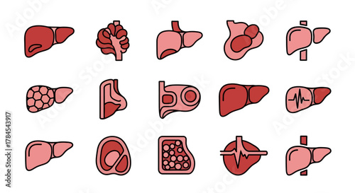 A series of stylized, anatomical illustrations of organs, mainly livers, in shades of red and pink with thick black outlines, suggesting healthcare and medical fields