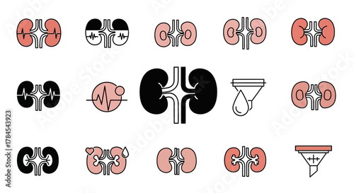 A series of stylized kidney illustrations in various designs, featuring colored and outline variations. Some designs incorporate medical symbols like heartbeats and filtering processes