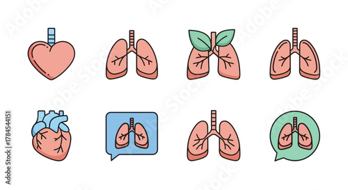 Vector illustrations of human heart and lungs, depicted in various stylized forms. Some illustrations feature leaves or speech bubbles. All are in a flat, cartoonish style