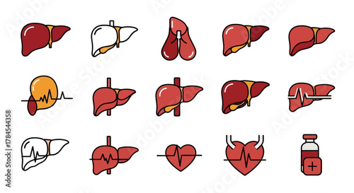 A vibrant, flat illustration featuring various stylized depictions of organs, mostly livers, with some showing heart symbols and a blood vial. Different colors and designs are used