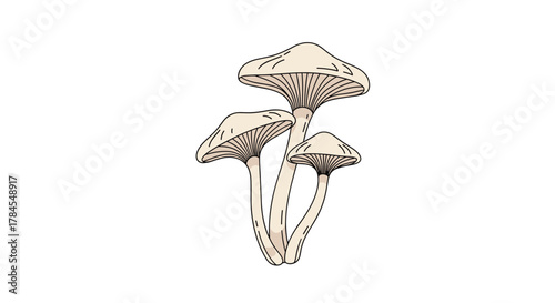 A cluster of delicate pale mushrooms growing together in a natural setting.