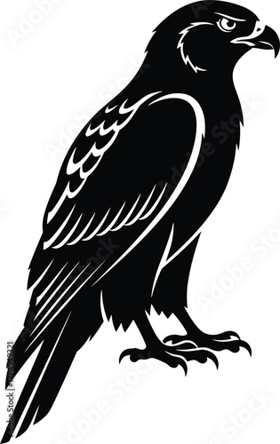 Eagle silhouette vector illustration predatory bird black and white art eps