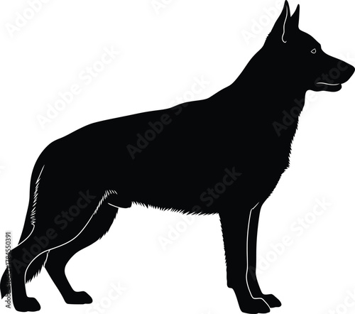 German shepherd silhouette vector illustration dog breed standing art eps