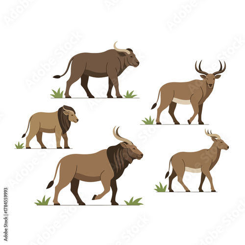 African wildlife animals in their natural habitat.