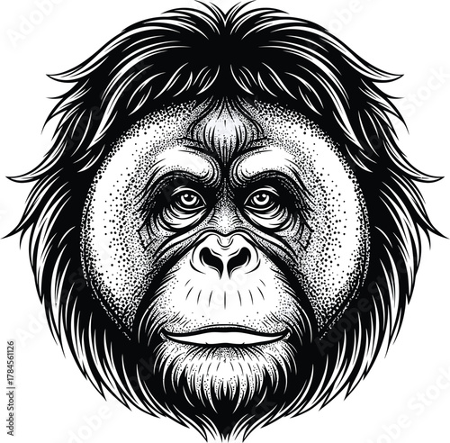 Orangutan face illustration detailed primate drawing black and white art eps silhouette