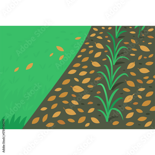 Fresh young plants growing in agricultural field with green leaves and fertile soil representing rural farming life and natural environment growth concept