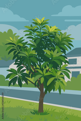 Green tropical frangipani tree with large leaves and natural shape representing tropical climate beauty garden life and botanical decorative plant design