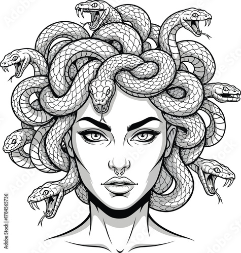 Medusa gorgon head with snakes illustration vector art greek mythology eps silhouette