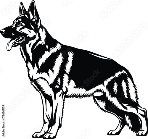 German shepherd dog vector illustration black and white pet animal art eps silhouette