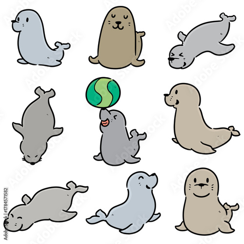 vector set of sea lion