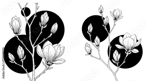 Elegant magnolia blossoms with geometric circles, , blending nature with modern design aesthetics seamlessly