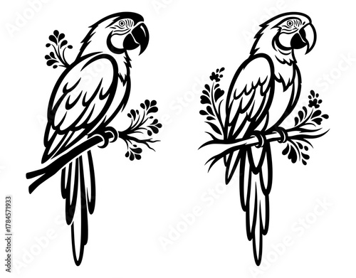 Two parrots perched on branches, a detailed black and white vector illustration