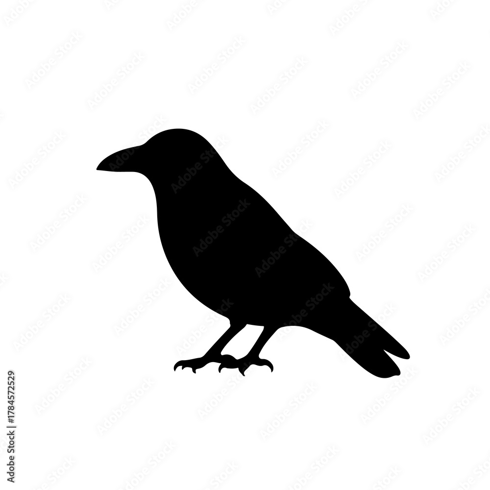Obraz premium Silhouette of a crow isolated on transparent background, perched and facing left in profile