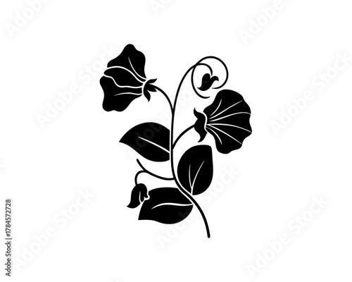 unique Sweet Pea Flower Icon silhouette illustration isolated on white background