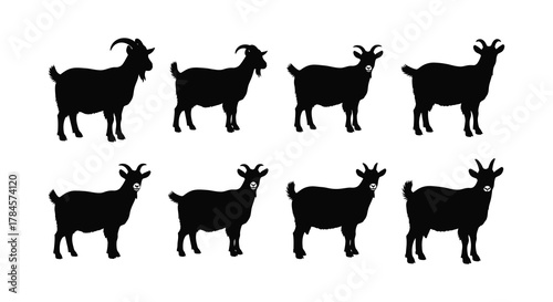 A group of sheep silhouettes standing together