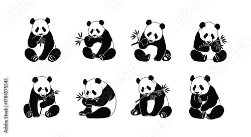 Pandas enjoying bamboo in various playful poses