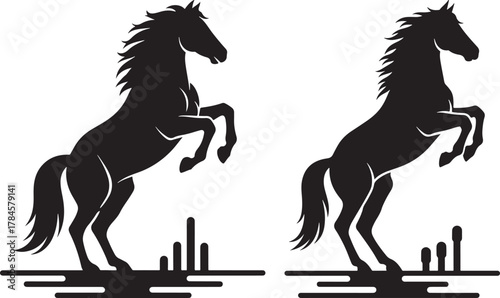 Two majestic horses rearing up in a powerful silhouette