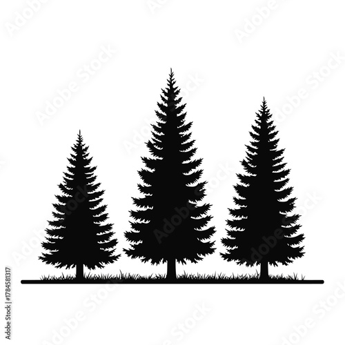 Three pine tree silhouettes in a row