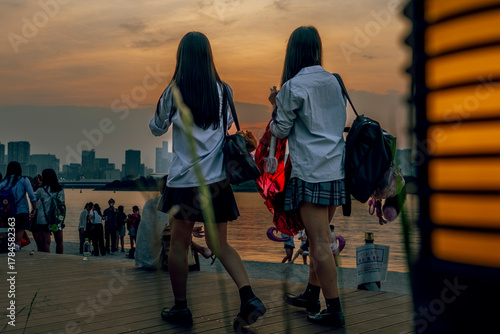 Canvas Print Tokyo